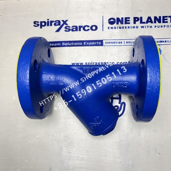 斯派莎克 Spirax Sarco Fig33.1 DN25 球墨铸铁过滤器 背面