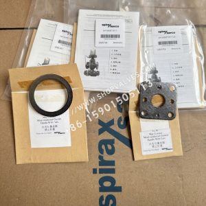 Conjunto de juntas de válvula reductora de presión Spirax Sarco 25P